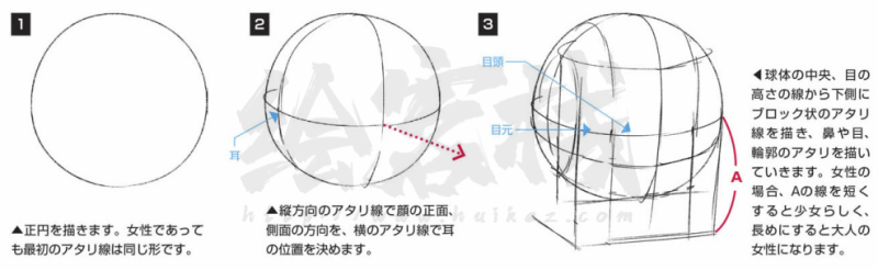 漫画初级教程，各种各样漫画人物脸的画法