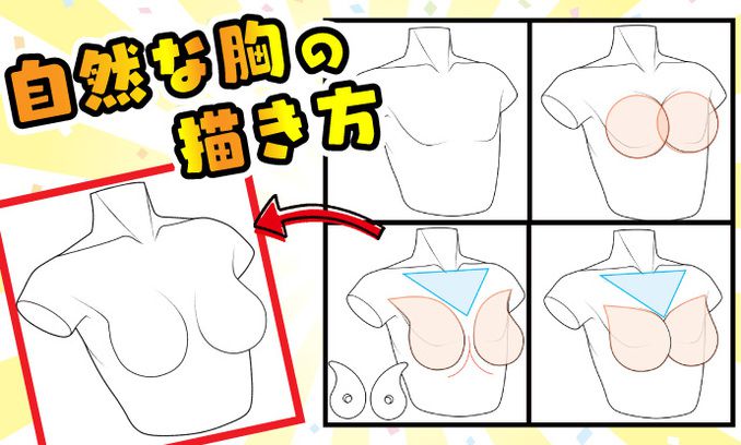 胸部的绘制方法技巧！