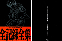 「画集」福音战士新剧场版：破 全记录全集 视觉故事版 [371P]