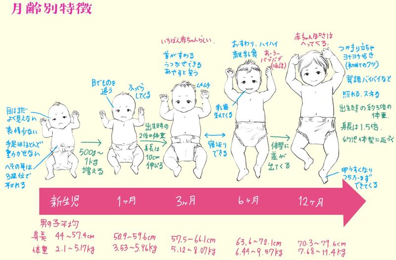 婴儿身体的画法！