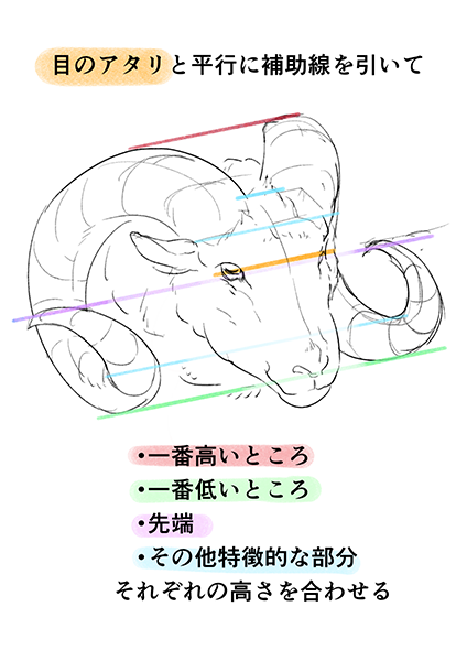 绘制野兽耳朵的诀窍！