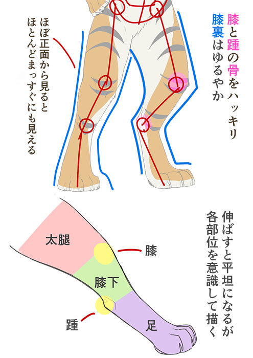 野兽绘制方法！