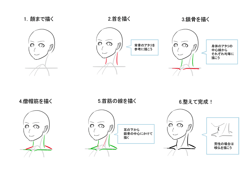 脖子的绘画技巧！