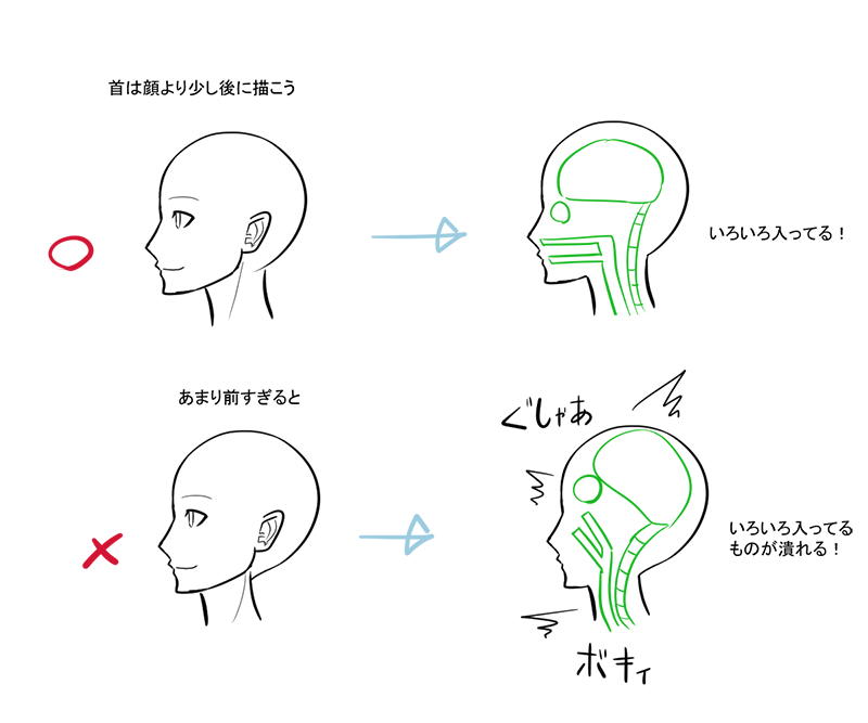 脖子的绘画技巧！