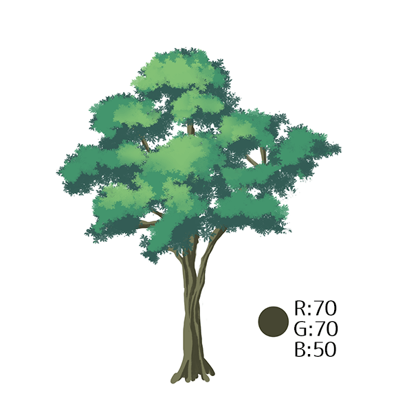 绘制简单的常见的树木！