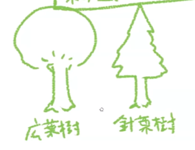 如何绘制阔叶树的方式？