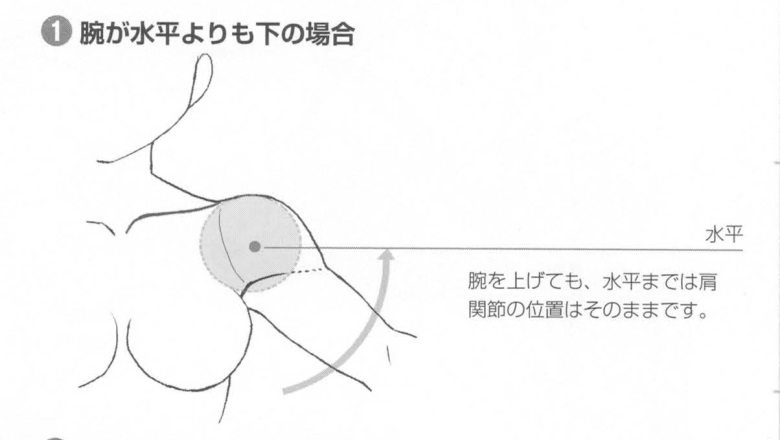 手臂胳膊的绘制技巧方法！